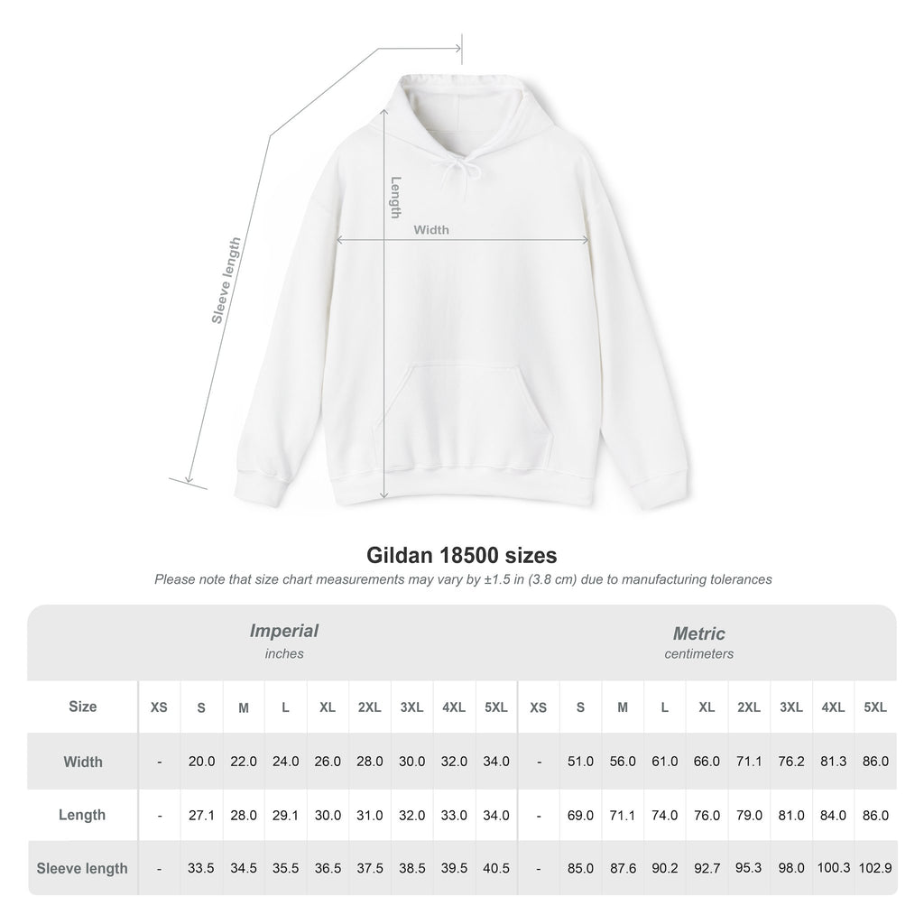 Questionable Sideline Behavior Hoodie