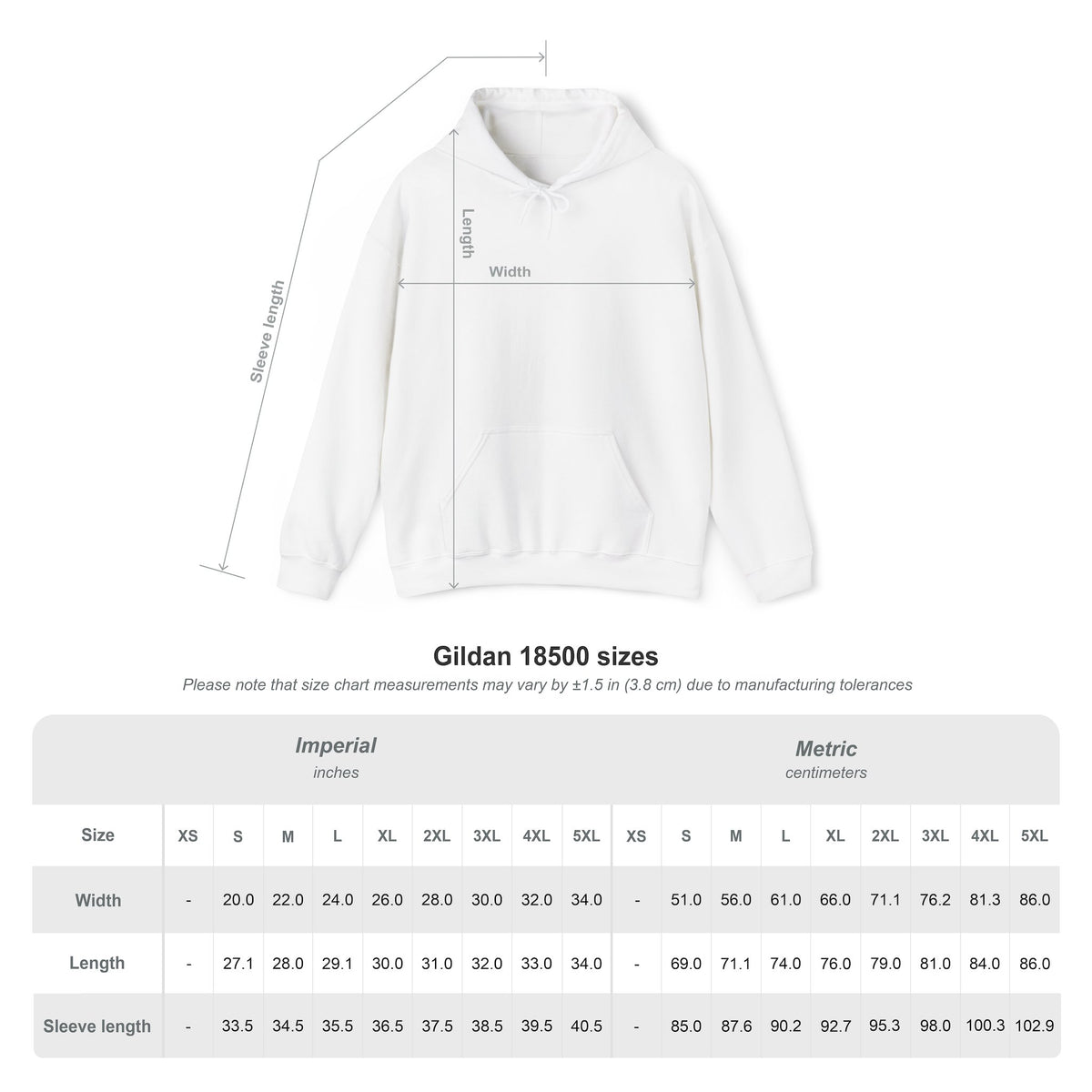 Questionable Sideline Behavior Hoodie