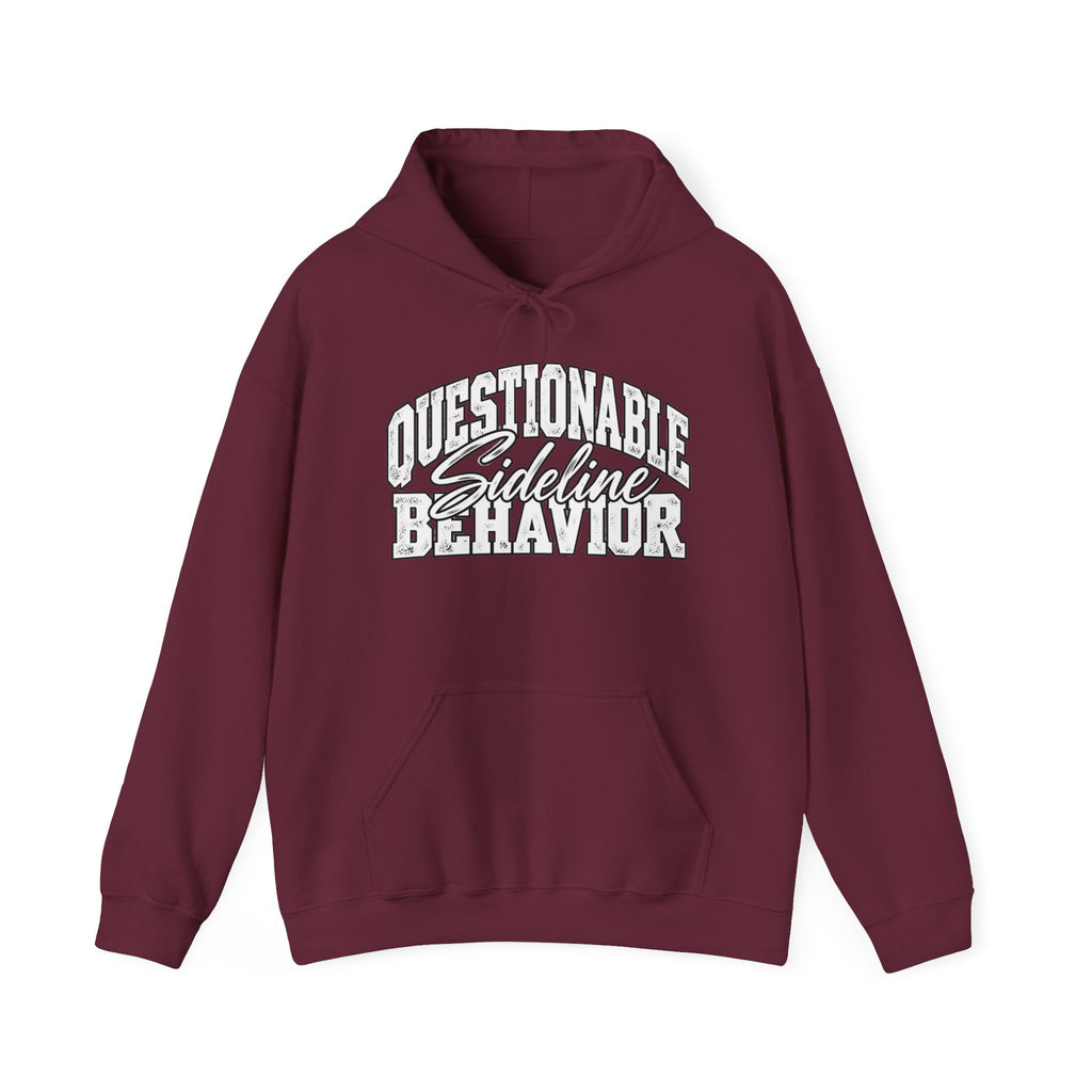 Questionable Sideline Behavior Hoodie