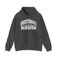Questionable Sideline Behavior Hoodie